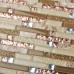 Crystal Glass Diamond Mosaic Resin Conch Tile Rose Gold Wave Backsplash Brown and Beige Tiles