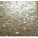 Golden Shell Tiles Kitchen Backsplash Tile Mother of Pearl Tiles Mosaic Deepwater Natural Seashell Mosaics MOP063