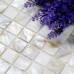 shell tiles 100% natural seashell mosaic mother of pearl tiles kitchen backsplash tile design BK05