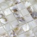 shell tiles 100% natural seashell mosaic mother of pearl tiles kitchen backsplash tile design BK05