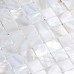 Seamless shell tiles natural seashell mosaic white mother of pearl tile kitchen backsplash tiles designs WB-013