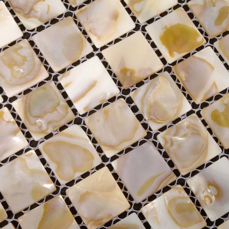 Mother of Pearl Tile Shower Wall and Floor Backsplash White Shell Tiles Square Seashell Mosaics