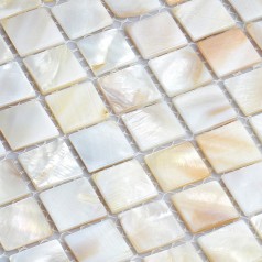 shell tiles 100% natural seashell mosaic mother of pearl tile kitchen backsplash tile design WB-001
