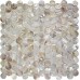 Shell Tiles Kitchen Backsplash Tile Penny Round Mother of Pearl Mosaic Fresh Water Seashell Decor SN25001