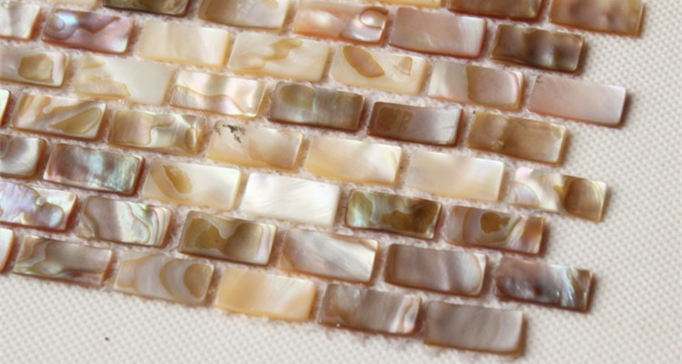 seashell mosaic wall tile 
