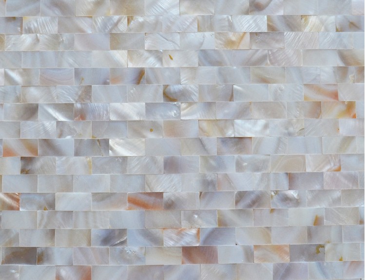 mother of pearl shell mosaic tile details