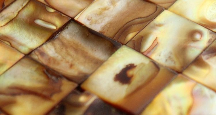 mother of pearl wall tile