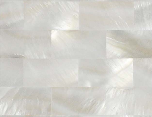 enlarged photo of the mother of pearl tile - st077